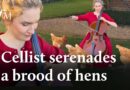 Cellist serenades chickens at 18th-century farmhouse | Classic FM