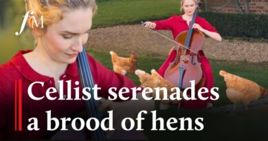 Cellist serenades chickens at 18th-century farmhouse | Classic FM