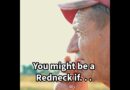 You Might Be a Redneck If . . .