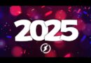 New Year Music Mix 2025 🎧 Best EDM Music 2025 Party Mix 🎧 Remixes of Popular Songs