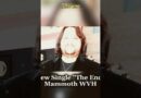 New Song Wolfgang VH, Sammy Hagar React. #rocknroll #vanhalen #classicrock #music #sammyhagar #rock